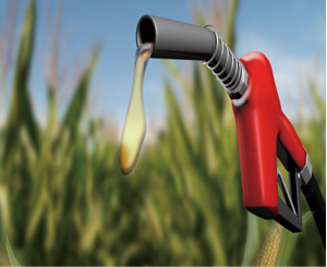 1752915203715309.png 图片8.png